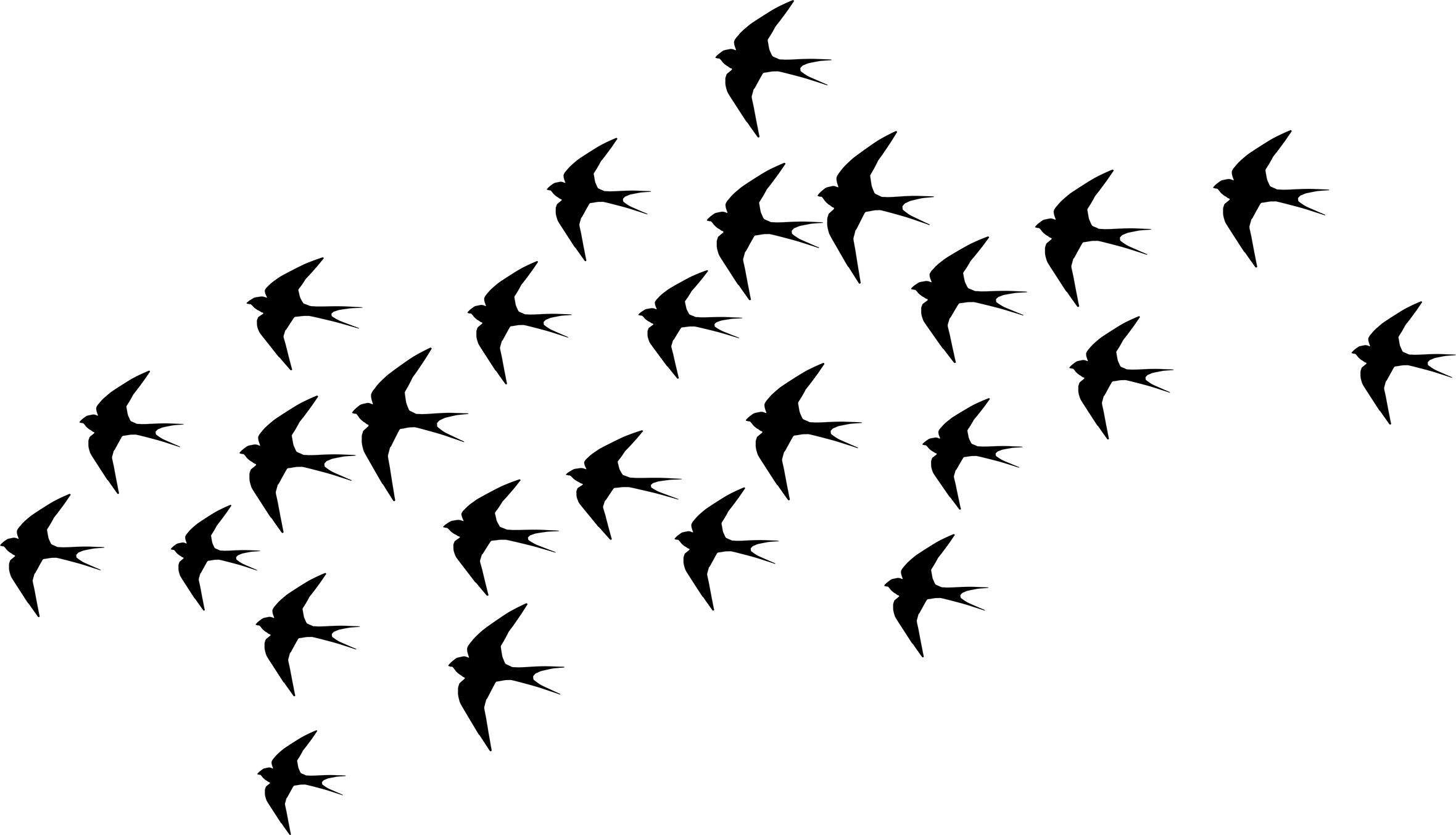 502 - Swallows