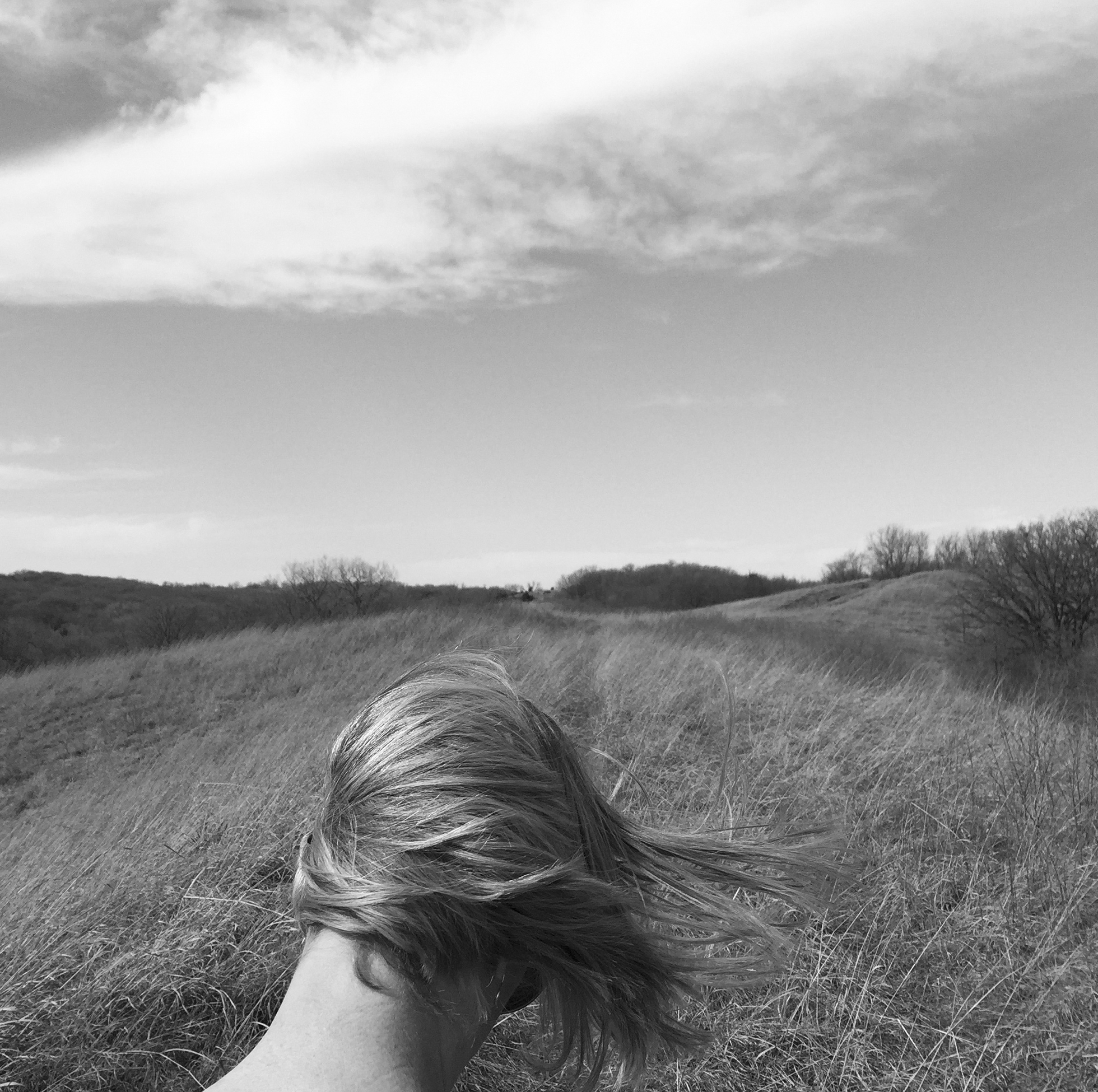 The back of a person’s head as they look out toward a field. The wind is blowing their hair to the right.