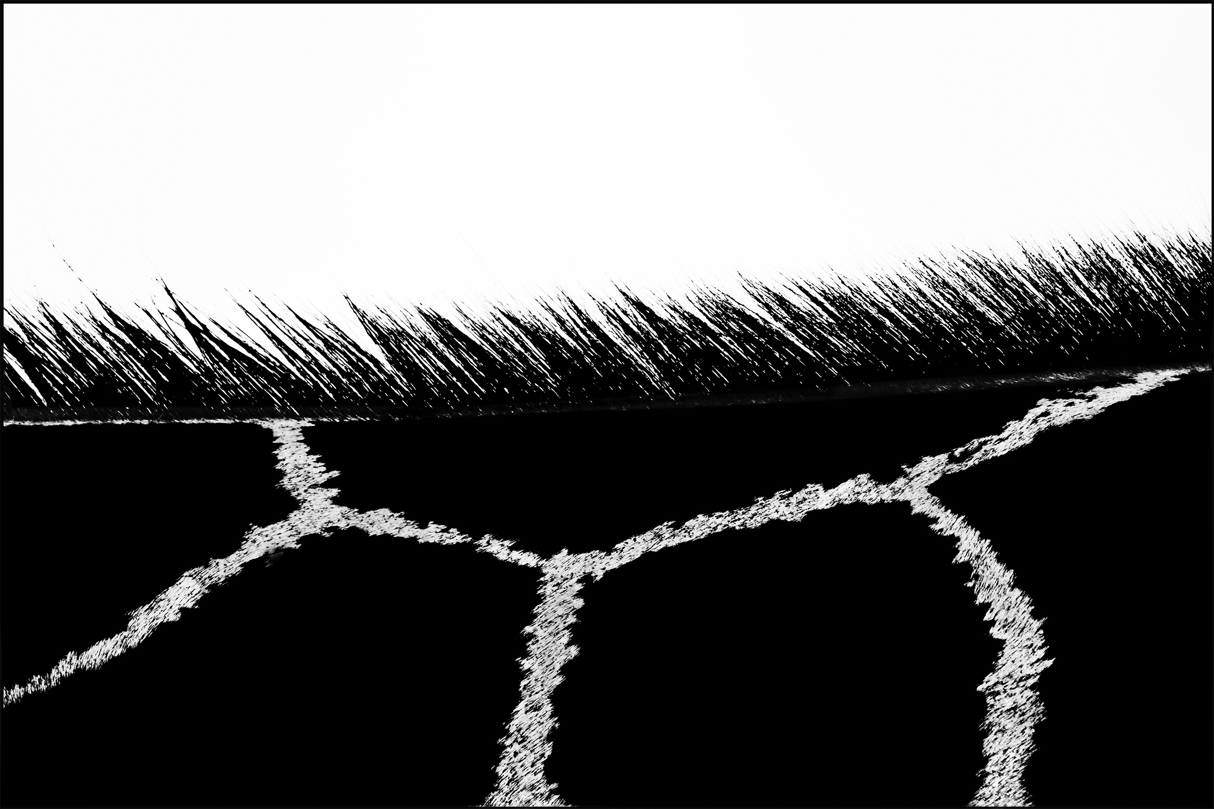 A close-up of the bristles of hair along a giraffe’s neck.