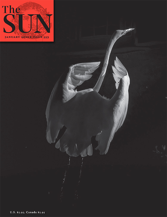 January 2022 cover of The Sun. It is the back view of an egret taking off with its wings slightly folded in and its head looking toward the top-right corner of the image. The photo was taken in the Venice Canals in Venice Beach, California.