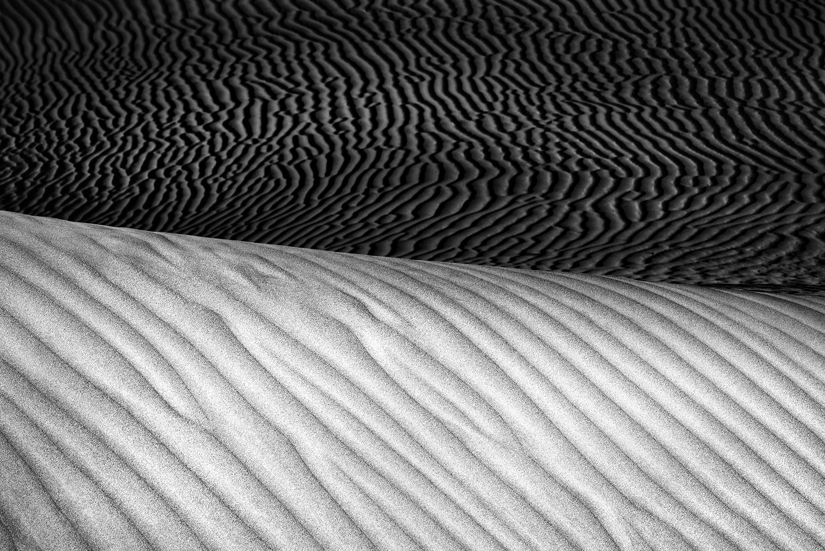 A landscape portrait of Mesquite Flat Sand Dunes in Death Valley National Park. Waves of sand fill the image.