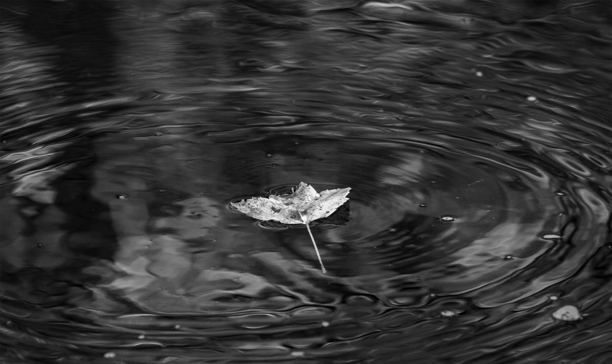 A leaf is floating in the center of gentle, circular ripples on a small body of water.