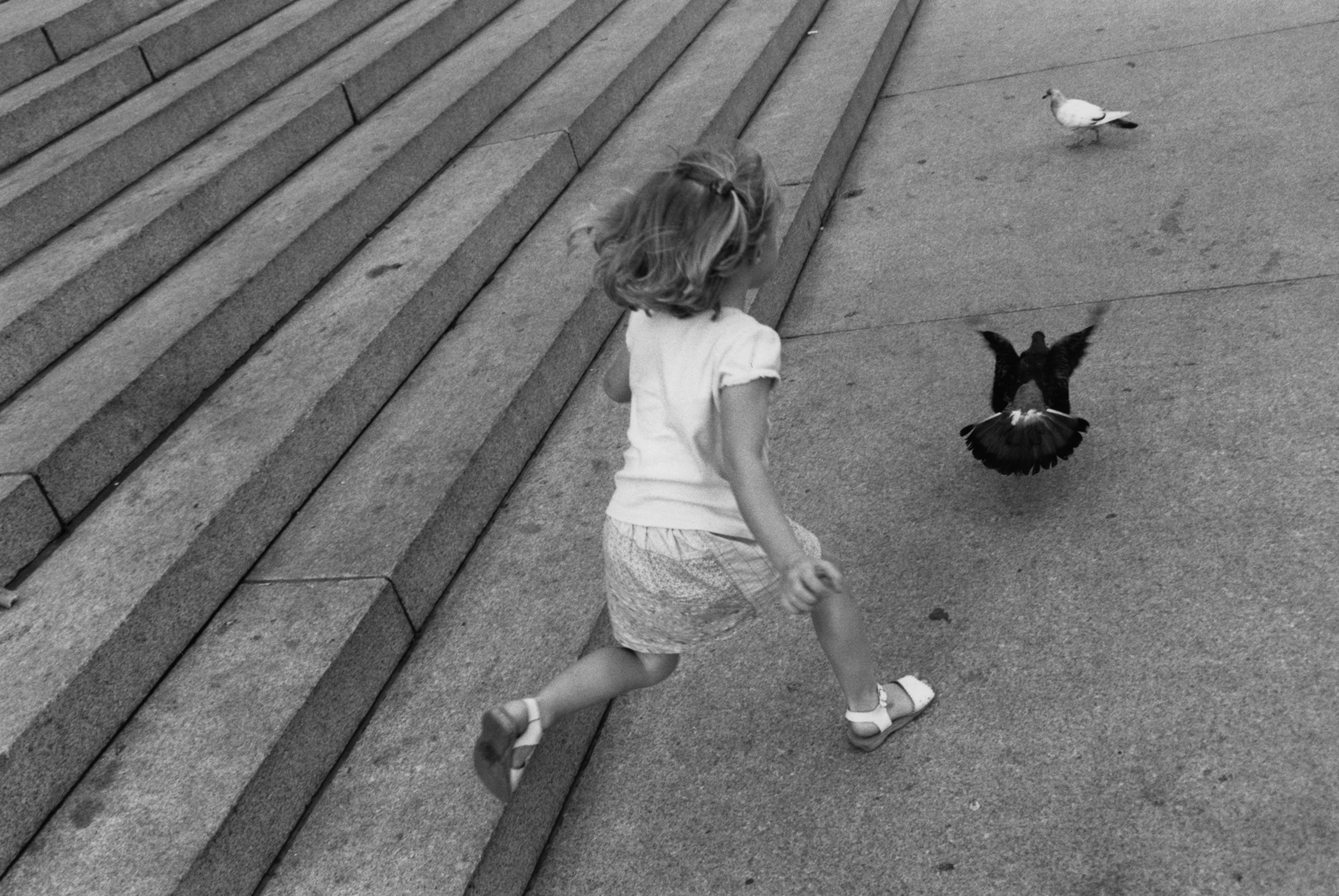 A little girl with shoulder-length hair wearing a white short-sleeved shirt, print skirt, and white sandals is seen from the side stepping off the bottom step of a wide set of steps in the city chasing a pigeon.