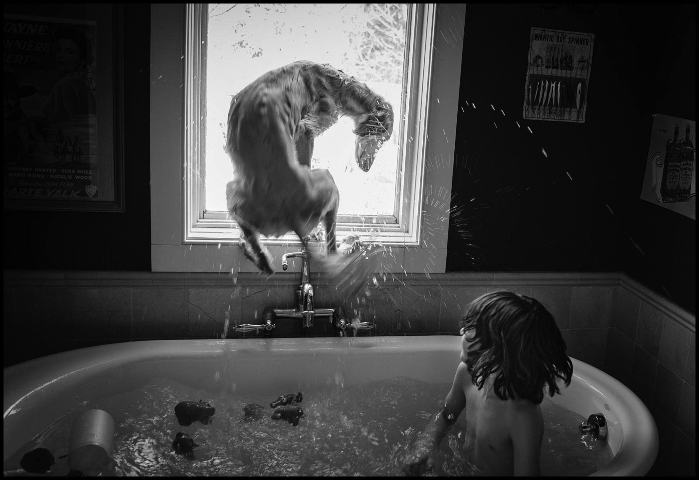 A large, slender dog jumps out of a freestanding bathtub in front of a window and splashes water everywhere. The water droplets in the air show movement. A child sits in the tub and looks at the back of the dog as toys float on the churning water.