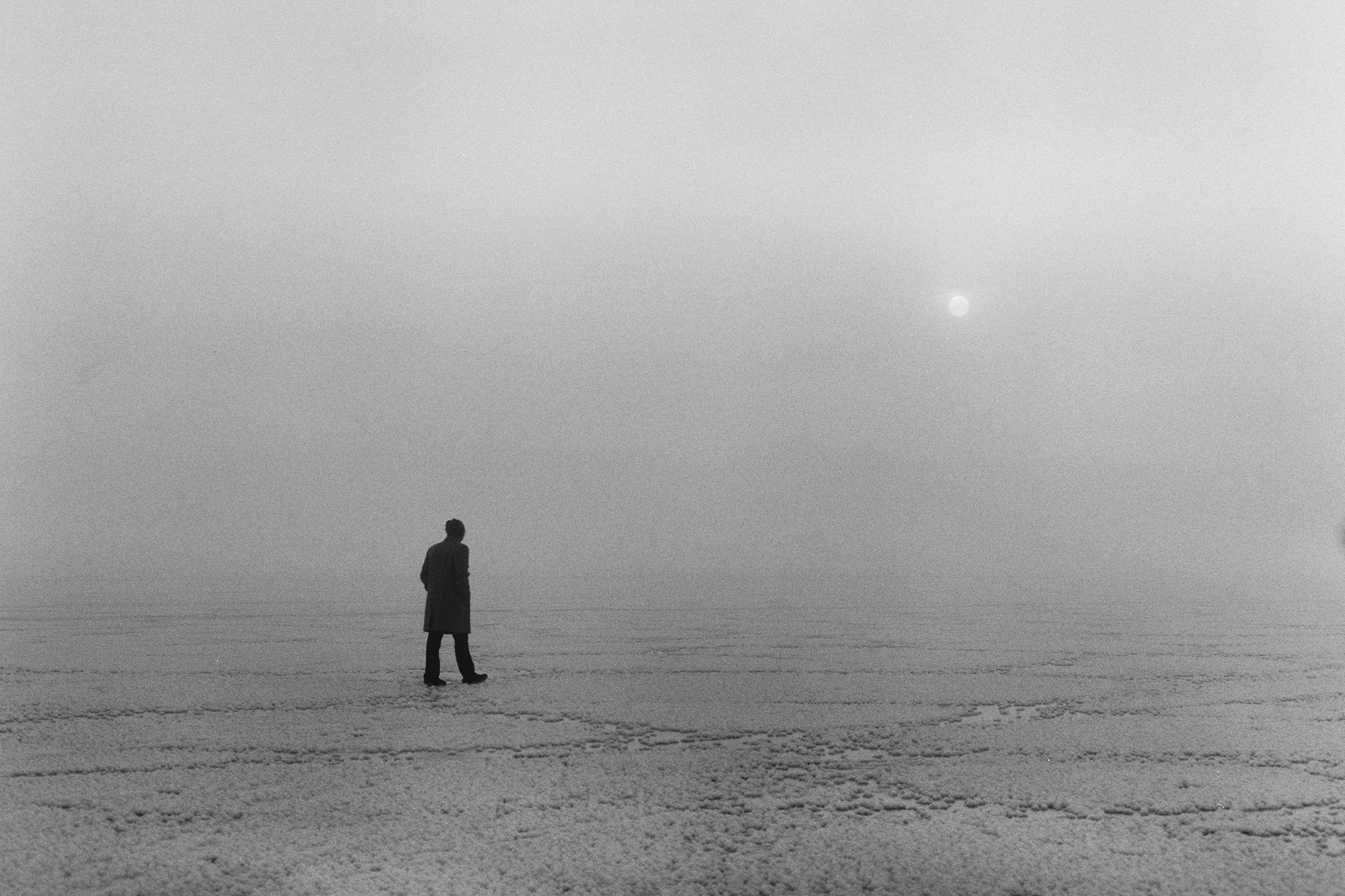 A person in a coat is walking in a desolate landscape surrounded by fog with the sun just visible in the haze.