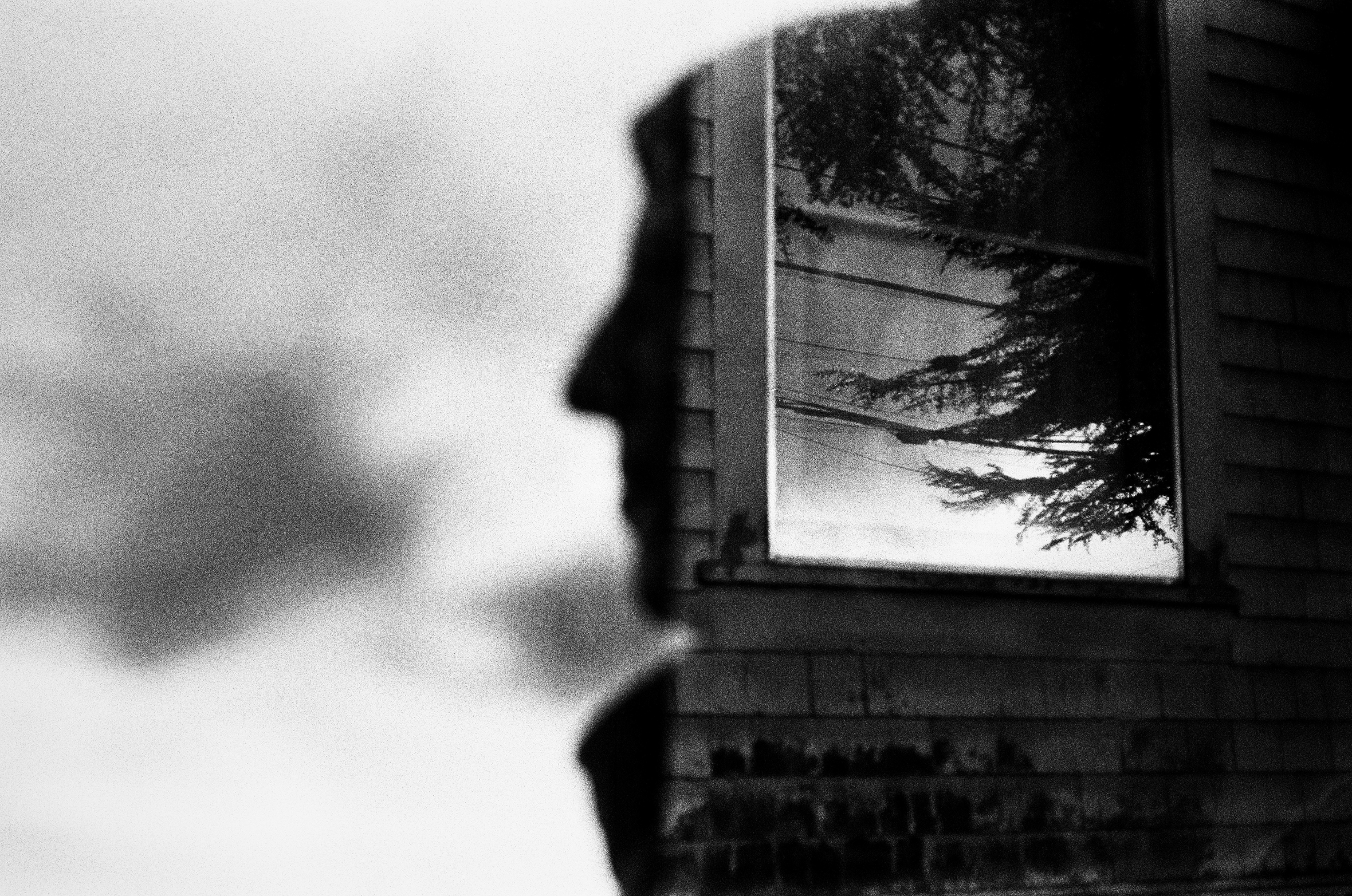 A silhouette of a profile of a person’s face superimposed on a portion of a house with a window with tree branches reflected in it. The forehead, nose, mouth, and chin look like they are coming out of the corner of the house.