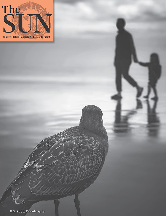 October 2022 cover of The Sun. A blurry image of Cannon Beach in Oregon with the silhouettes of a man and a young girl holding hands and walking along the water’s edge as a bird in focus in the foreground shot from behind looks on.