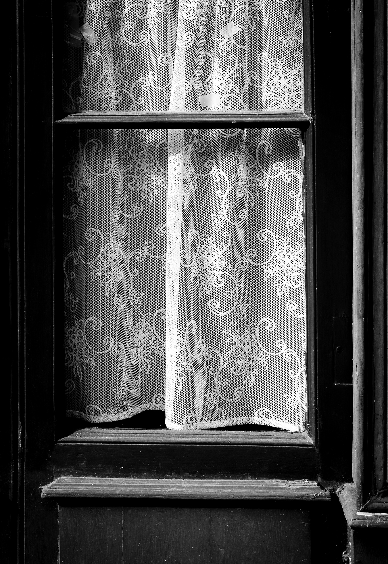 A light-colored, gauzy curtain stitched with a flowered motif behind a pane and a half of a dark-framed window.