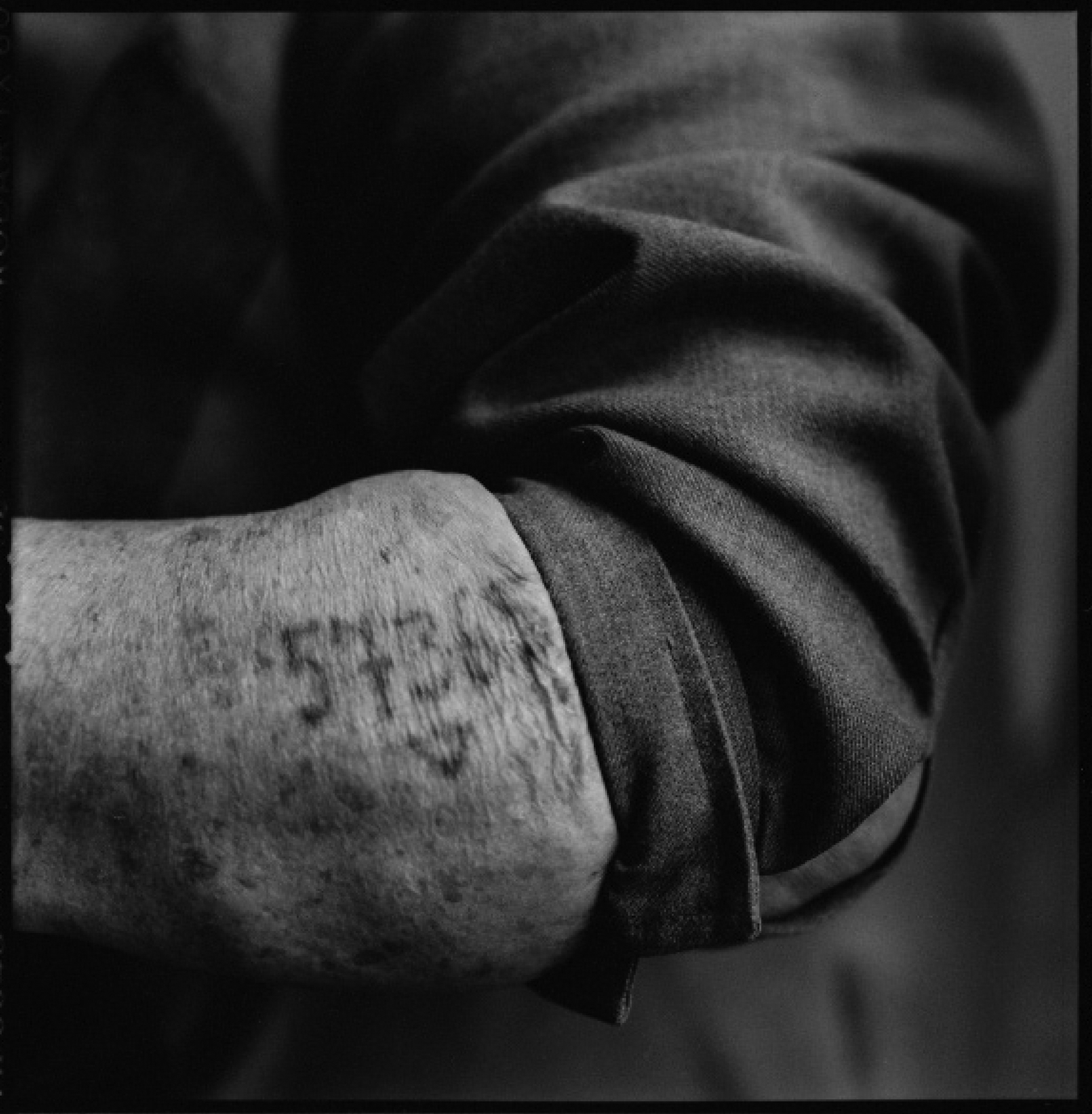 A Holocaust survivor’s left forearm with a tattoo that reads “57365.”