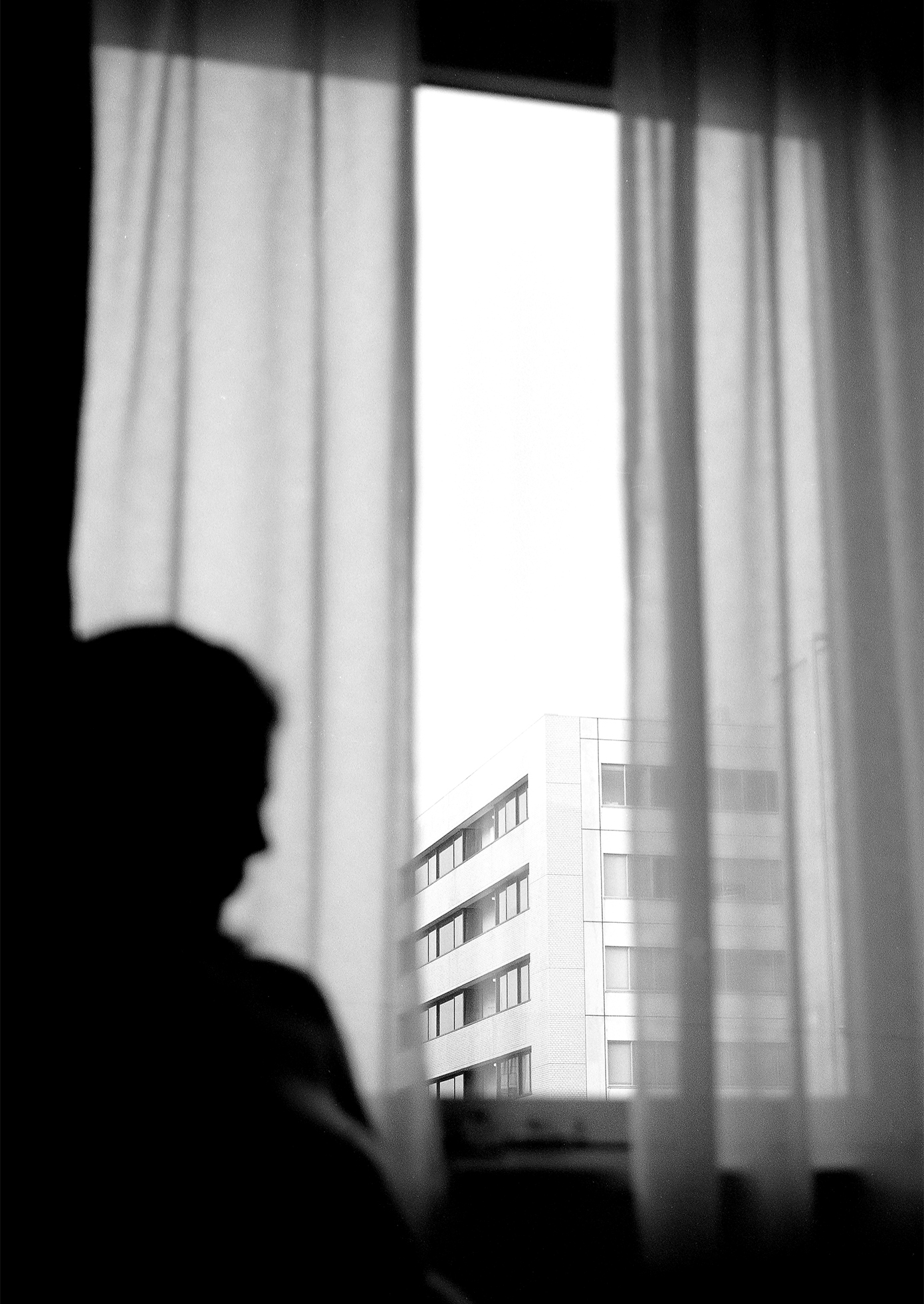 A woman sits by a large, curtained window that looks out on the top floors of a high-rise building. The woman is a blurry, dark silhouette against the light coming through the window.