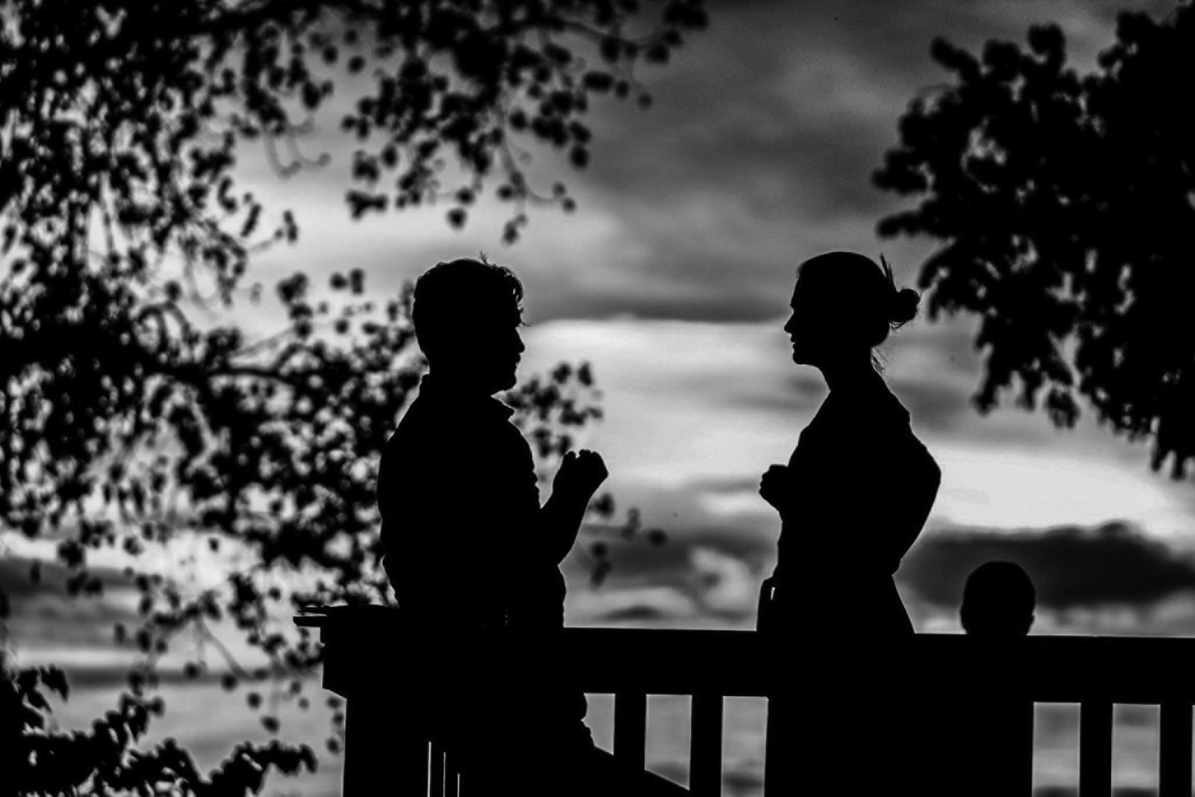 A man and a woman face each other as they stand and talk near a railing. They are darkened silhouettes and tree branches peek in from both sides of the image.