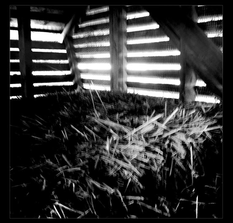 Closeup of hay bales inside a slatted structure.