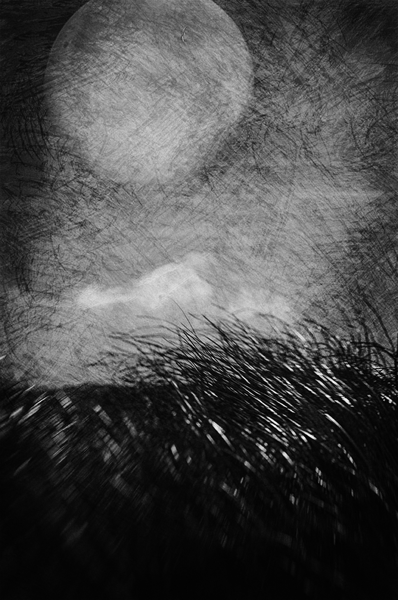 Tall winter grasses appear to move against the night sky: a few clouds insignificant next to the large moon. The image is fully crosshatched and textured lending an otherworldly quality to this darkened landscape.