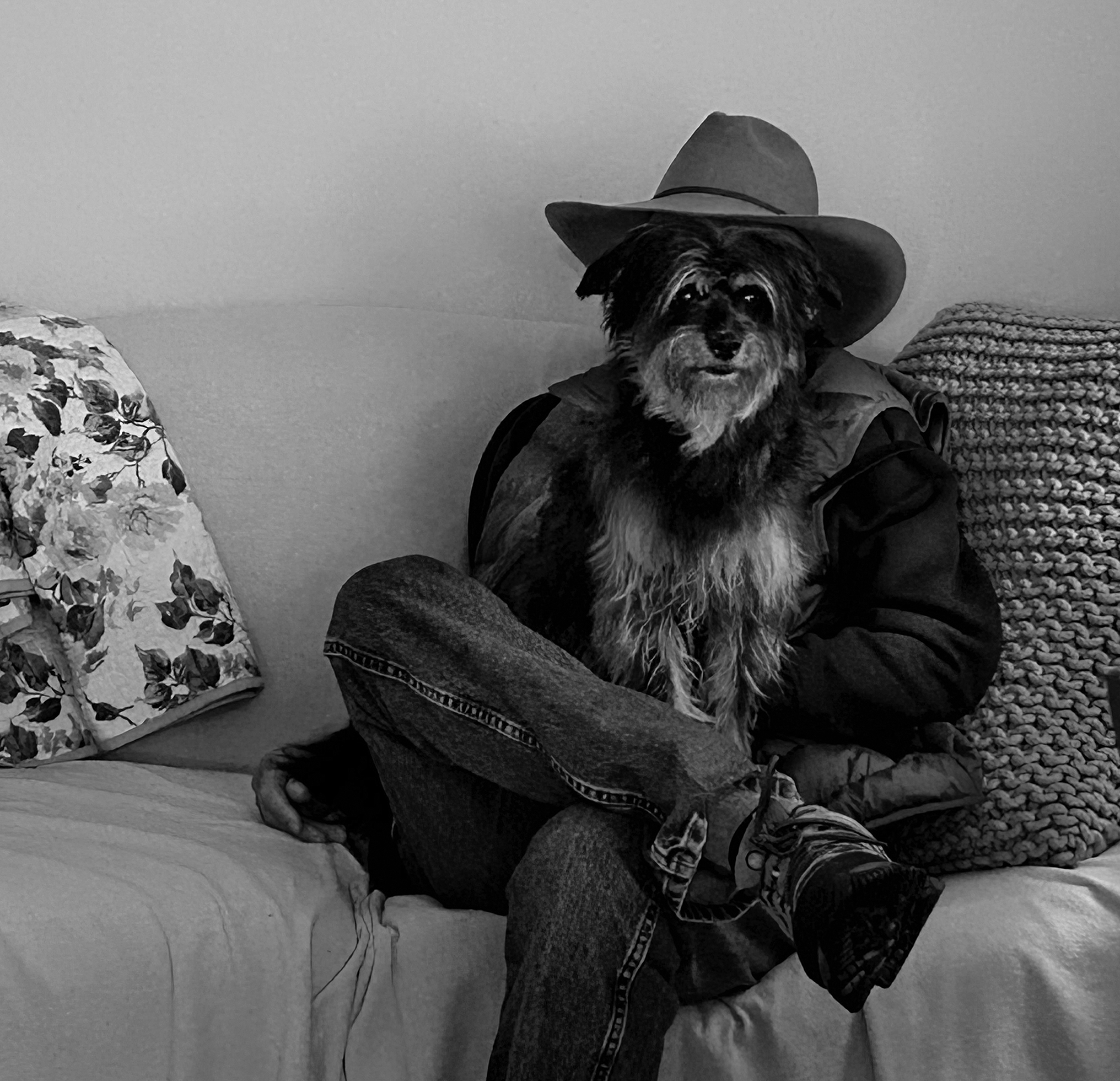 A man wearing a cowboy hat, jacket, and jeans sits on a couch with a dog on his lap. The dog is perfectly positioned so that its face appears to be the man’s under the hat.