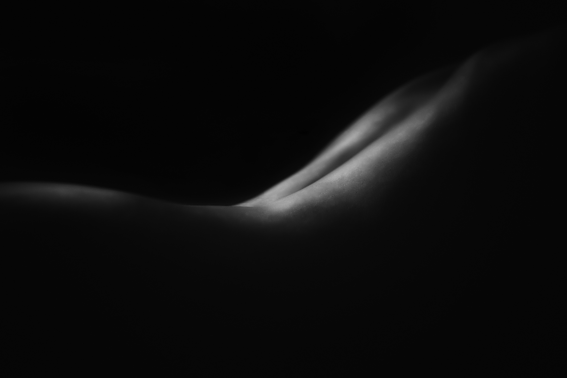 The curve of a woman’s spine accentuated and abstracted by the tiniest bit of light touching her skin.