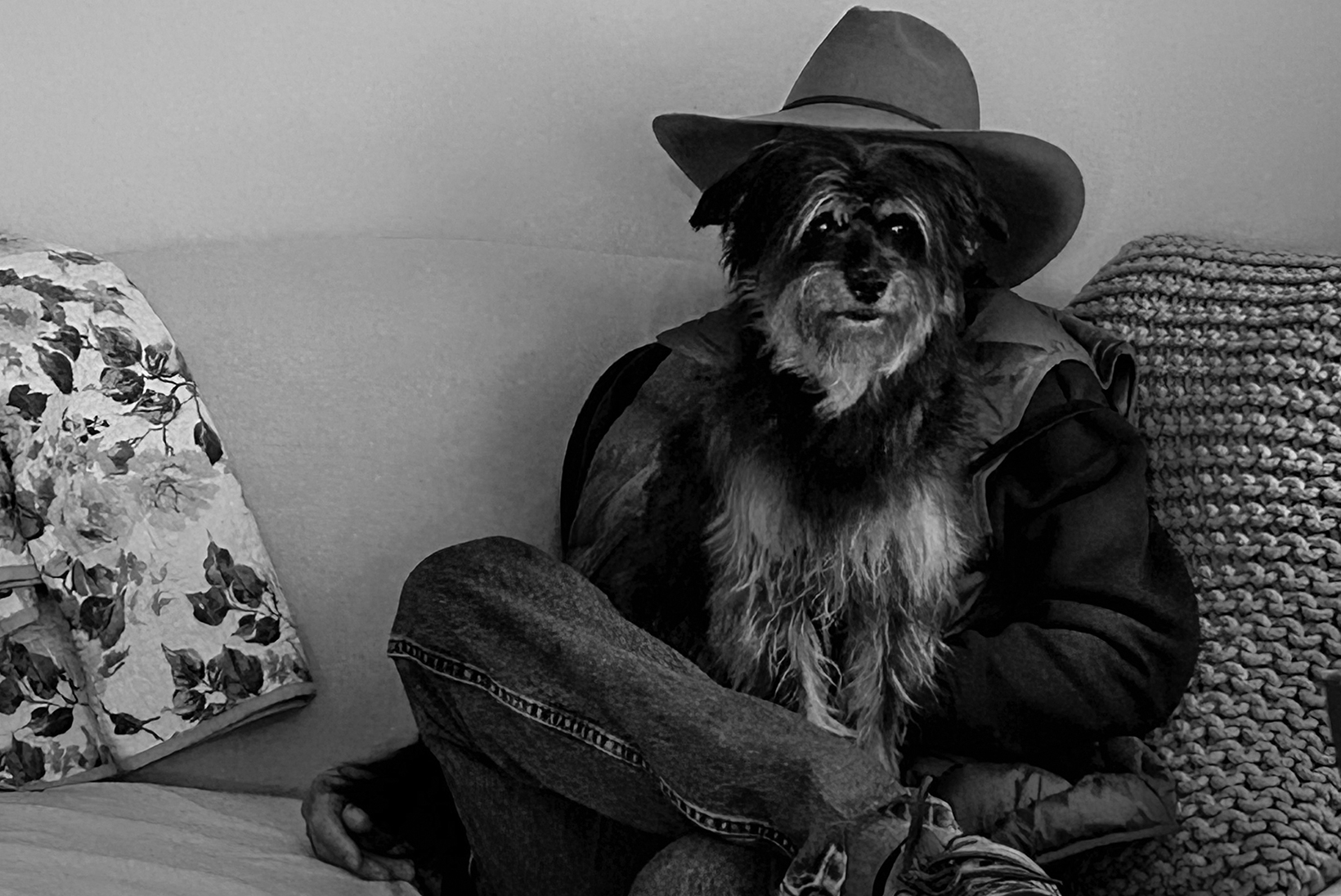 A man wearing a cowboy hat, jacket, and jeans sits on a couch with a dog on his lap. The dog is perfectly positioned so that its face appears to be the man’s under the hat.